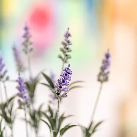 Lido Mar Lägenhet *