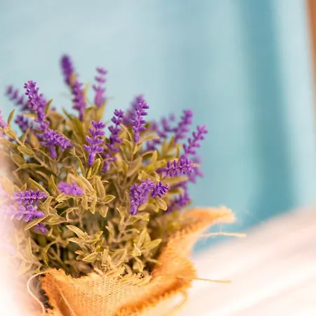 아파트 Lido Mar - Area 푼샬