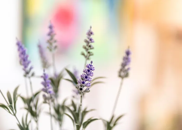 Lido Mar - Area 公寓 *