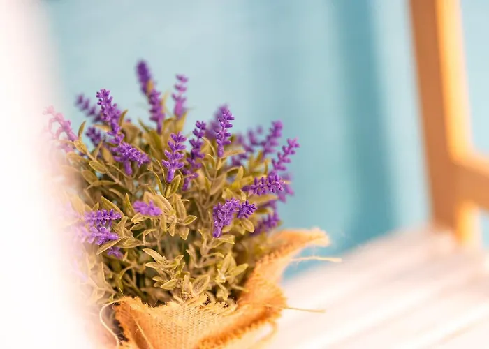 公寓 Lido Mar - Area 丰沙尔